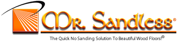 Mr Sandless Franchise Logo